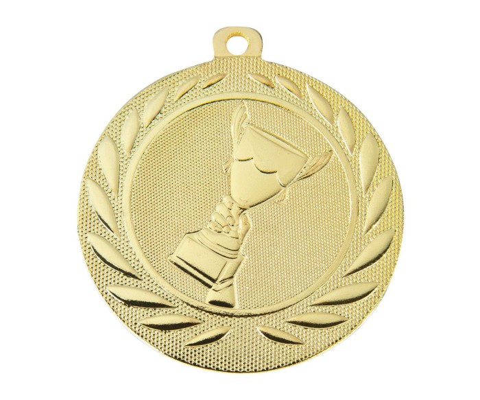 Médaille - Bretagne : St-Malo, Rennes, Dinan, St Brieuc, Vannes, Lorient, Brest, Quimper